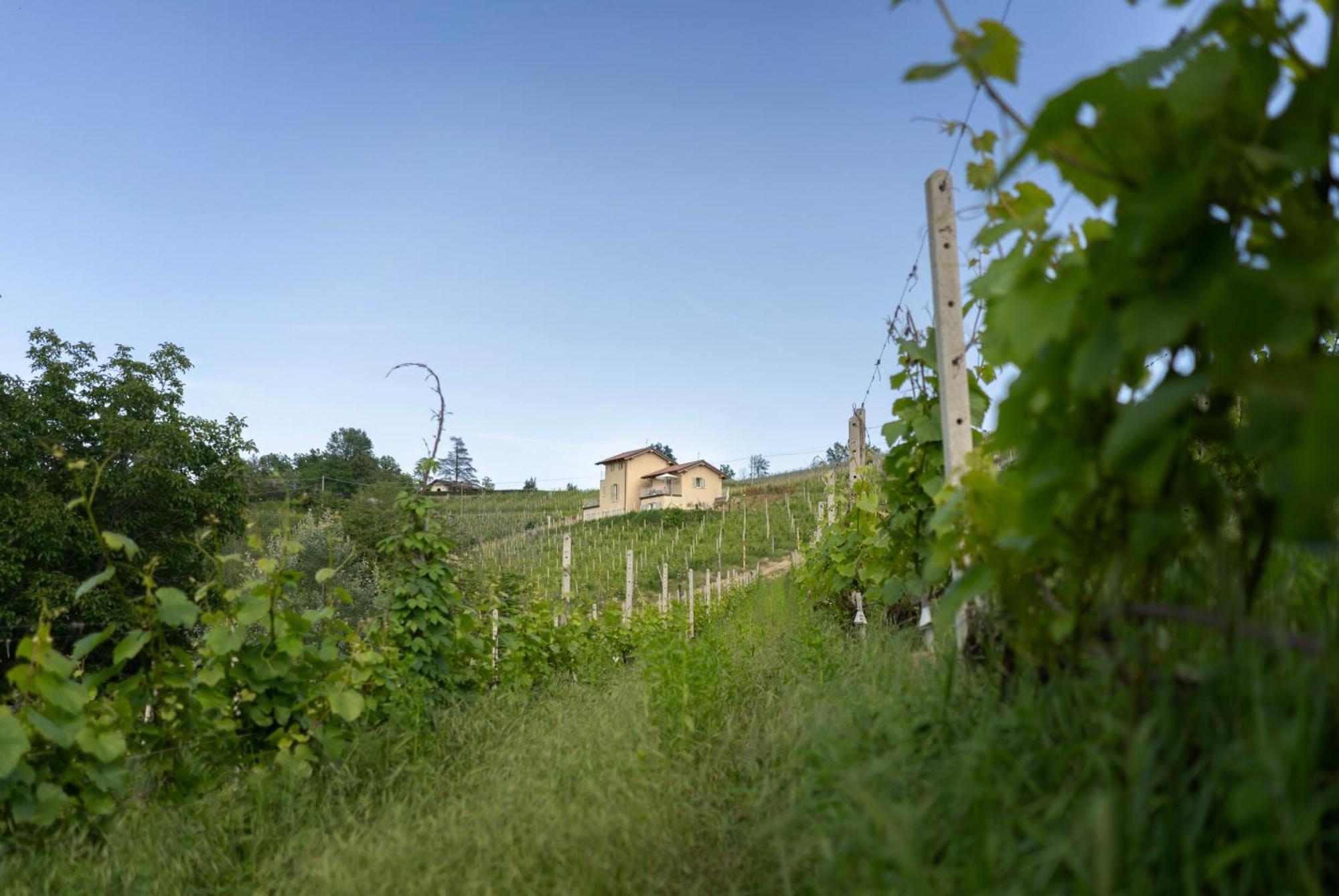 I Ciabot Di Monforte Monforte dʼAlba المظهر الخارجي الصورة