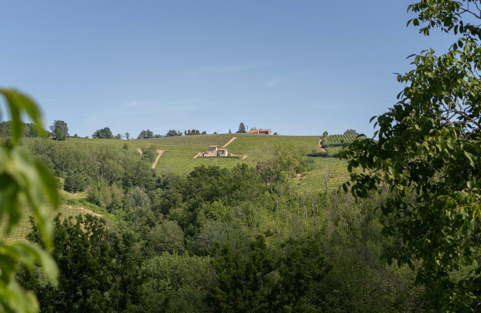 I Ciabot Di Monforte Monforte dʼAlba المظهر الخارجي الصورة