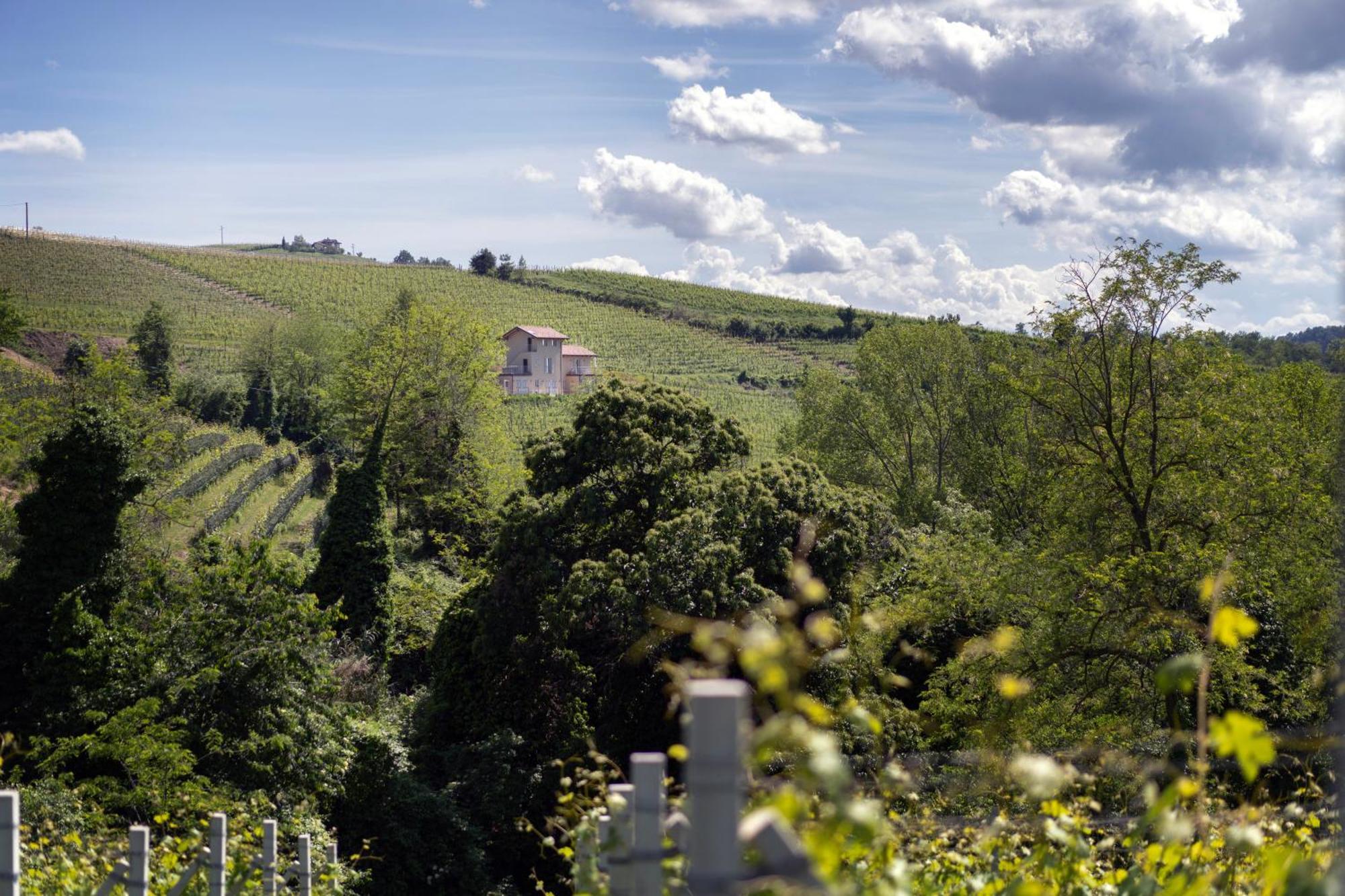 I Ciabot Di Monforte Monforte dʼAlba المظهر الخارجي الصورة